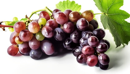 Grape, Not just a fruit, but also a botanical wonder - a berry born from deciduous vines of the Vitis genus
