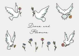 かわいい花を届けに羽ばたく白い鳩のシンプルな水彩テクスチャーイラスト