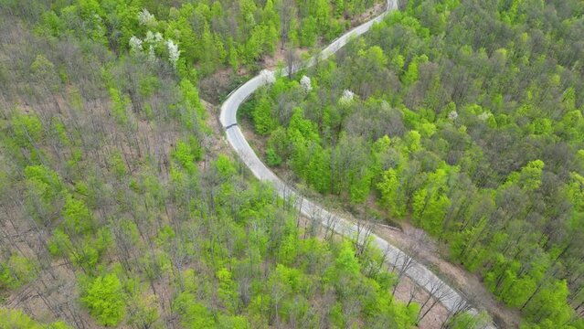 Curved road in the forest, Arad county, Romania. Drone footage.