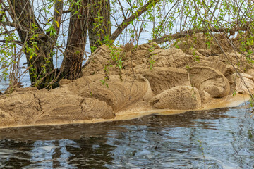 Brown foam on the surface of the water in the river near the tree close-up