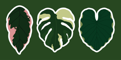 Set of hand drawn stickers with tropical leaves, modern stylish botanical illustrations