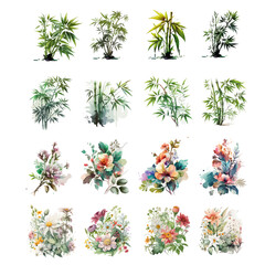collection element wild flower and green leaves tropic floral