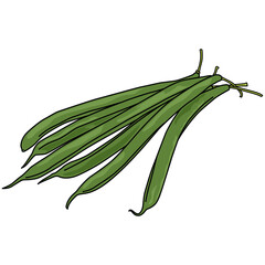 Fototapeta premium Semi-realistic illustration of Green beans on transparent background