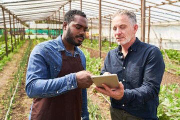 Male multiracial farmers discussing over digital tablet at greenhouse