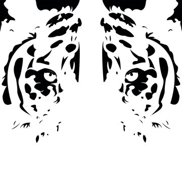 Vector of a tiger head design on white background, vector illustration. Wild Animals.