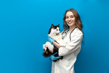 young girl veterinarian in uniform holds black and white cat on blue isolated background, doctor in medical coat