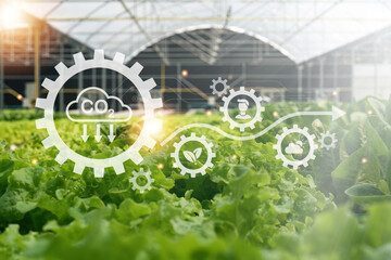 organic hydroponic vegetables produce in greenhouse garden nursery farm with visual icon digital...