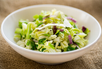 Young cabbage salad with purple onions in a bowl .