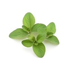 Oregano, Gew&uuml;rz, Kr&auml;uter, Kochen, Braten, Gesund, generative AI