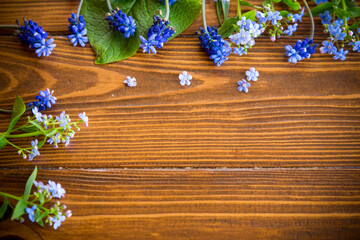 Wooden background with spring flowers and empty space