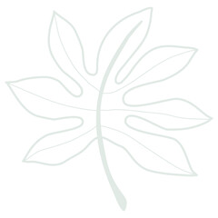 Line art leaf 