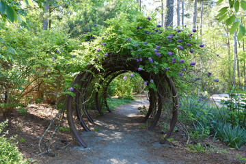 Cape Fear Botanical Garden, Fayetteville, North Carolina, USA