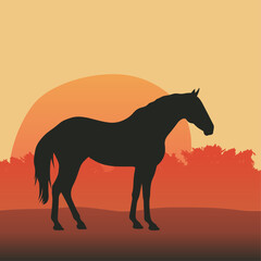 Silhouette horse, landscape, vector illustration