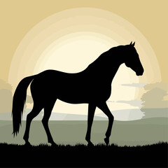 Silhouette horse, landscape, vector illustration