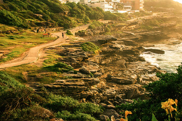 Beautiful views of the Bondi to Bronte Coastal Walk in the golden hours of the sunrise in the...
