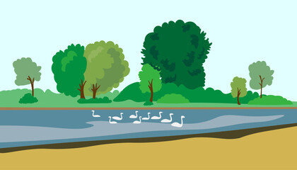 horizontal landscape with a lake with a flock of swans and a park. river bank in flat style vector. landscape with trees and a pond. a flock of white swans. wallpaper with a view of the other shore. r