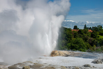 Fototapeta na wymiar Pohutu Geyser in the Whakarewarewa Thermal Valley, Rotorua, in the North Island of New Zealand. The geyser is the largest in the southern hemisphere and among the most active in the area