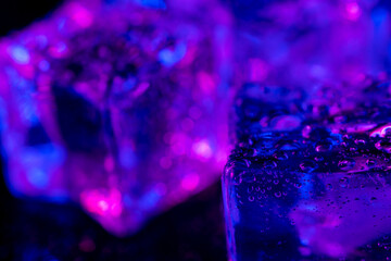 Ice cubes under blue and purple light