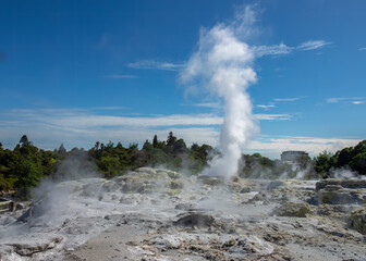 Pohutu Geyser in the Whakarewarewa Thermal Valley, Rotorua, in the North Island of New Zealand. The geyser is the largest in the southern hemisphere and among the most active in the area - obrazy, fototapety, plakaty