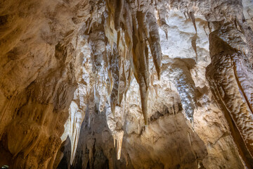 Waitomo streamway cave system that includes the Ruakuri Cave, Lucky Strike, and Tumutumu Cave. North Island, New Zealand