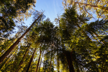 Alfred Nicholas Memorial Gardens in Australia