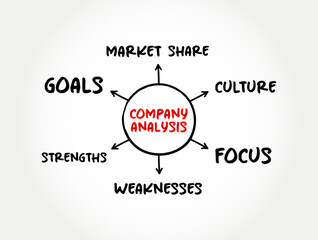 Company Analysis mind map concept for presentations and reports