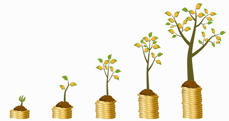 Five stages of growing money tree