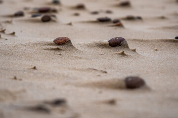 Small pebbles on sand beach