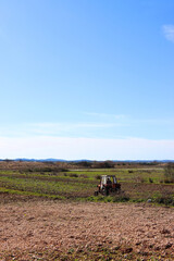 Agricultural fields in village Vrana, south Croatia. early spring, aerial view.