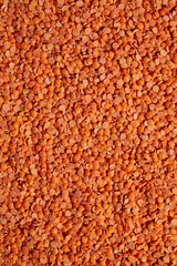 Lens culinaris is scientific name of Turkish Red Lentil legume. Also known as Lentilha Vermelha (portuguese). Top view of grains in a glass. White and blue background.
