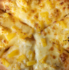 closeup of a pizza