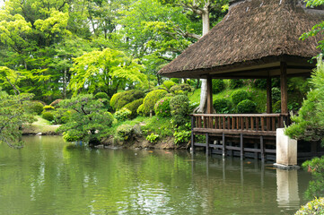 広島 初夏の縮景園を彩るもみじの新緑と茅葺の小屋 - obrazy, fototapety, plakaty