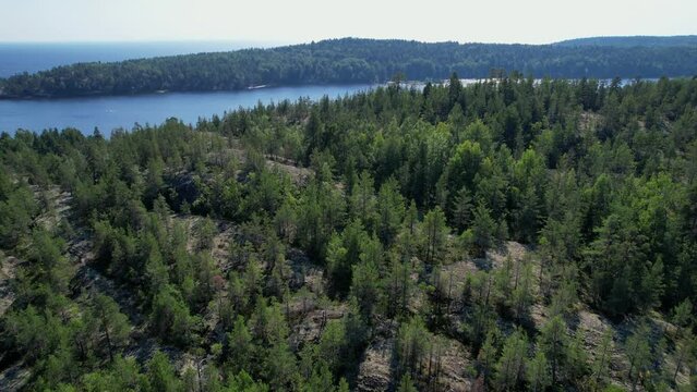 Aerial Drone Footage View: Flight over a rocky island covered with a green coniferous forest. Coastal zone of Lake Ladoga, Russia, Europe. Clear blue water of Lake Ladoga in summer. Beauty world. 4K