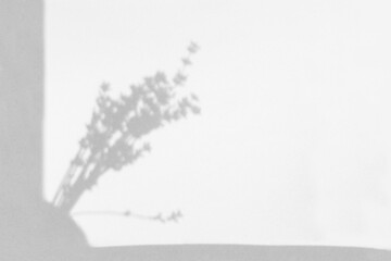 Background of shadows branch leaves on a white wall. White and Black for overlaying a mockup or photo