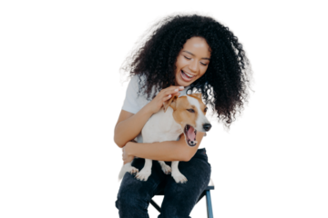 Joyful African American woman plays with pedigree dog, dressed in casual wear, petting favourite pet, isolated over white background, sits on chair. Positive human expressions. Friendship concept