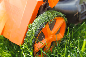 Closeup photo of lawn mower or grass cutter mowing fresh green grass in garden in sunny day....