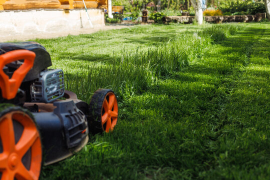 Closeup photo of lawn mower cutting lush, fresh green grass in garden in sunny day. Mowing the green lawn, ecological and biological resources. Eco organic environmental sustainability. Copy space