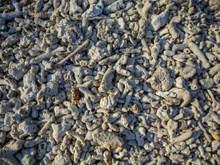 Guimaras Island Philippines