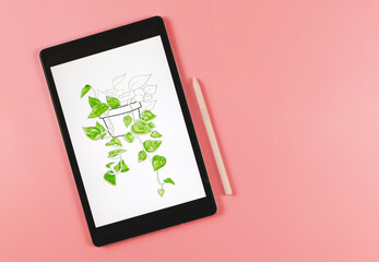 flat lay of digital tablet with picture of house plant in watercolor style on screen,  pink stylus pen,   isolated on pink  background. Digital art concept.