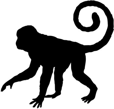 Monkey silhouette vector