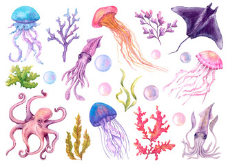 A set of bright watercolor marine elements. Algae, jellyfish, stingray, squid, octopus. Underwater creatures drawn by hand. Isolated on white background.