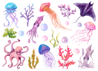 Crédence de cuisine en verre imprimé Vie marine A set of bright watercolor marine elements. Algae, jellyfish, stingray, squid, octopus. Underwater creatures drawn by hand. Isolated on white background.