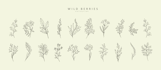 Wild berries branch and leaves set. Hand drawn line wedding herb, elegant leaves for logo, invitation save the date card. Botanical rustic trendy greenery