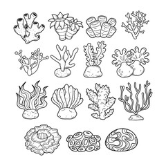 Set of coral reef hand drawn outline sketch illustration © Supersubstd