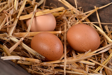 three eggs in straw close up
