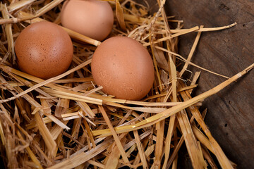 three eggs in straw close up