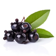 Chokeberry fruit isolated on white background.