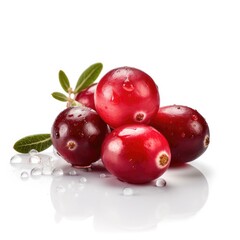 Cranberry fruit isolated on white background.