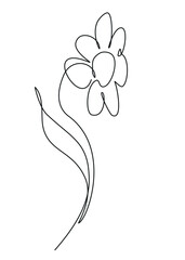 Simple flower look like chamomile. Stylized image in continuous one line minimalistic art technique