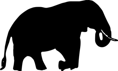 Fototapeta premium elephant silhouette vector